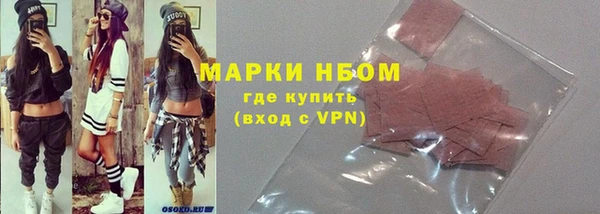 сатива Новозыбков