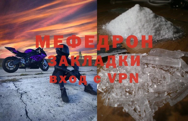 сатива Новозыбков