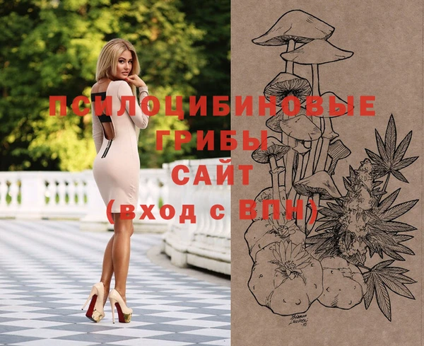 дживик Новодвинск
