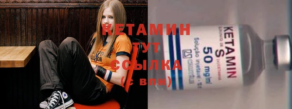 сатива Новозыбков