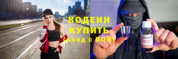 сатива Новозыбков