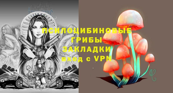 ГАЛЛЮЦИНОГЕННЫЕ ГРИБЫ Нефтегорск