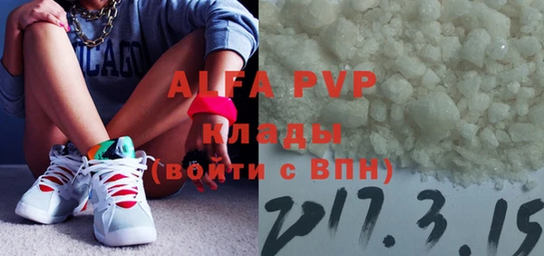сатива Новозыбков